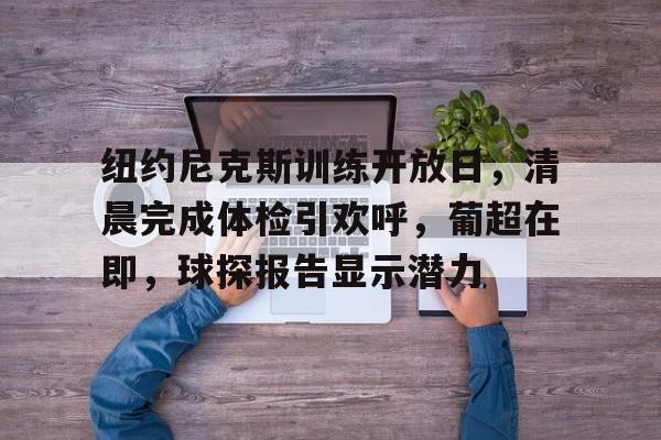 关于纽约尼克斯训练开放日，清晨完成体检引欢呼，葡超在即，球探报告显示潜力的信息